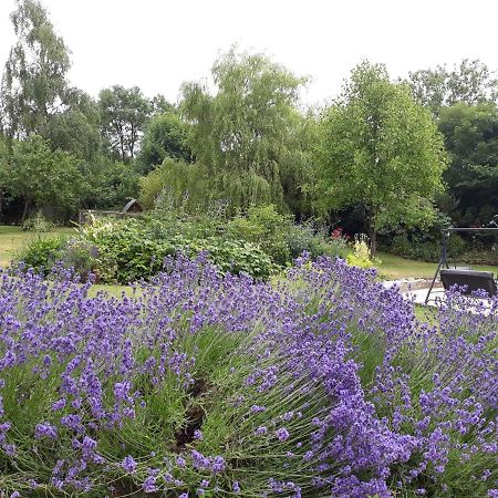 Stoneleigh Barn Bed And Breakfast Sherborne  Dış mekan fotoğraf