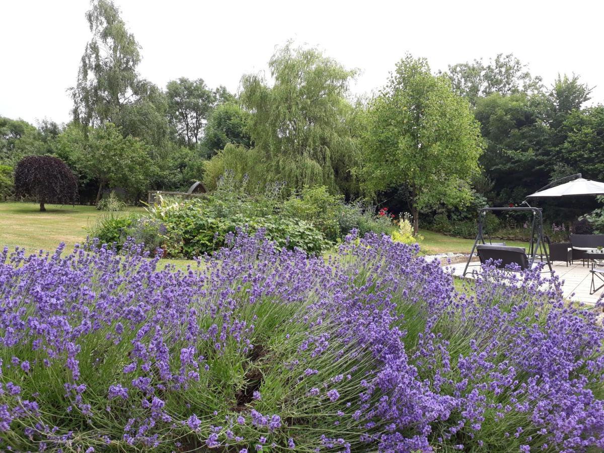 Stoneleigh Barn Bed And Breakfast Sherborne  Dış mekan fotoğraf